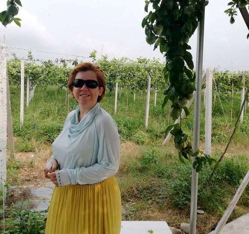 哈密瓜今日价格海南生产