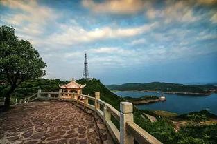 洛阳旅游明星网红有哪些,探寻古都新风尚