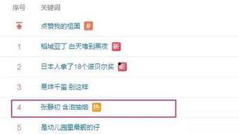 成都今日吃瓜最新信息,揭秘网红美食背后的故事