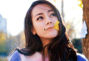 明星网红怎么样了,辉煌与挑战并存