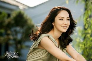 明星网红怎么样了,辉煌与挑战并存