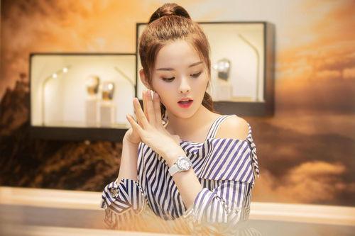 沈阳明星网红有哪些,璀璨星光下的网络新势力