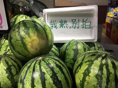 今日看料每日一瓜综合网,今日看料每日一瓜，热点事件大盘点