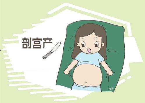 顺产的明星网红叫什么,这位顺产明星网红喜提幸福人生