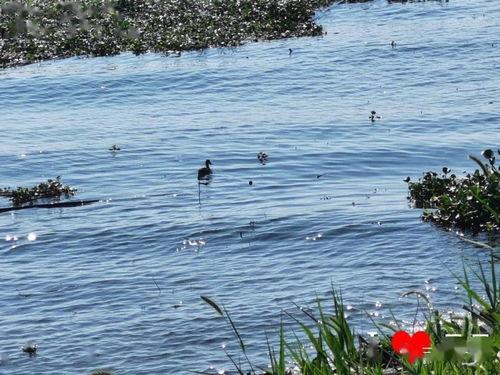 土瓜围今日水情,水位稳定，水质优良，保障周边居民生活用水”