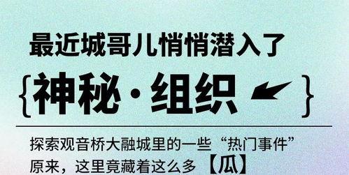 今日宜吃瓜全文完结