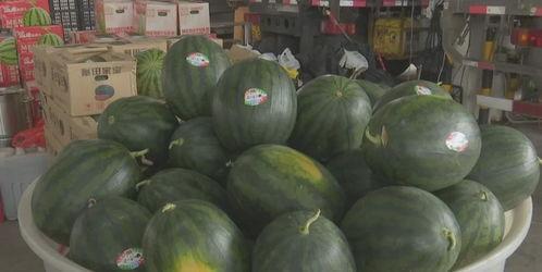 今日吃瓜91cg热门大瓜,吃瓜91cg热门大瓜揭秘