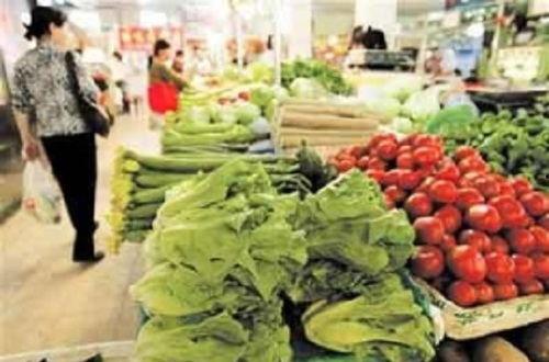 中牟吊瓜菜价价格今日行情