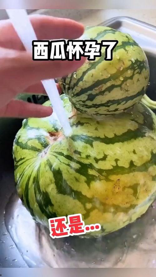 黑妹吃哈密瓜好笑视频,萌态百出笑翻天