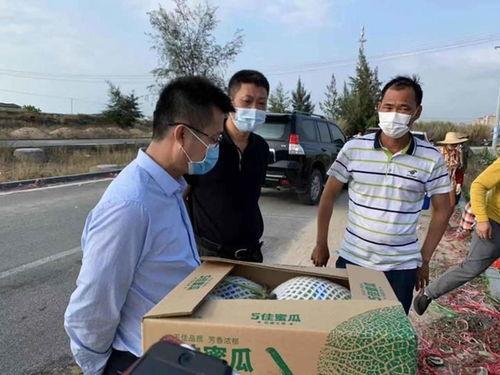 佛罗镇哈密瓜今日价格,价格行情一览”