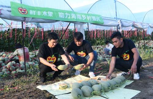 佛罗镇哈密瓜今日价格,价格行情一览”