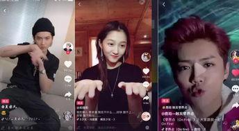 明星网红说唱视频在线观看,明星网红带你领略音乐魅力