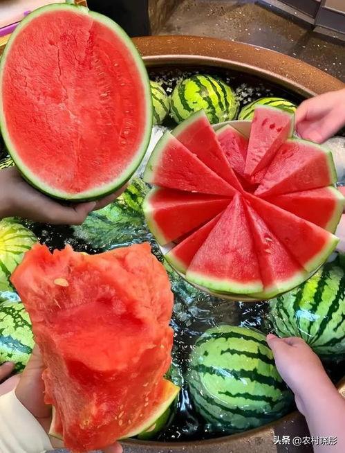 今日立秋吃瓜了吗,您吃瓜了吗？探寻传统习俗与健康饮食的完美融合