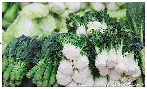 今日瓜茄价格最新行情,价格波动与供需分析