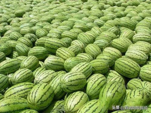 今日吃瓜 热门大瓜