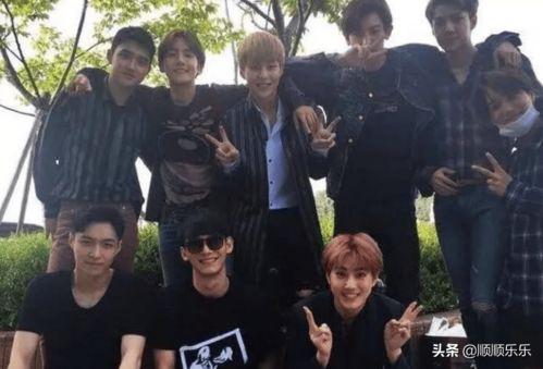 今日大瓜 往期必看,从今日大瓜到往期必看，深度解析明星幕后故事