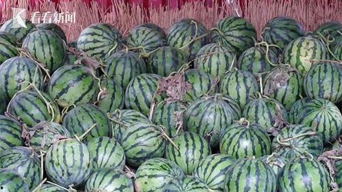 58今日大瓜 热门大瓜,揭秘热门事件背后的真相