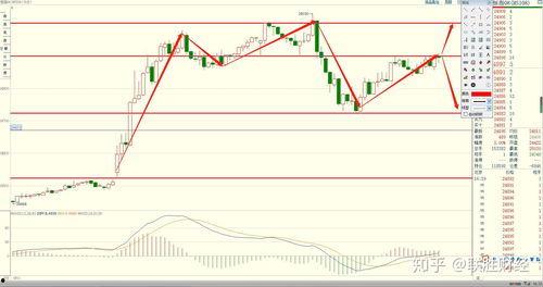 今日石头瓜价格走势分析,今日市场趋势洞察