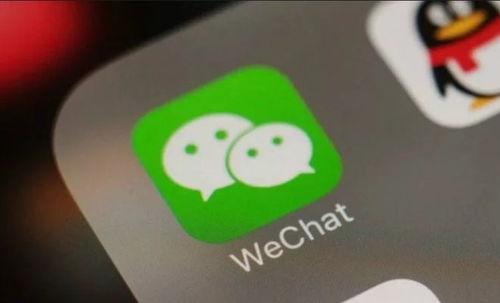 今日头条小瓜在哪里打开,小瓜在今日头条的打开方式，轻松获取最新资讯！