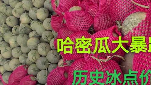 哈密瓜多少钱一斤今日价格表,一斤多少钱？
