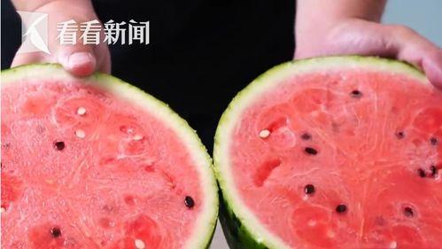 今日吊瓜多少钱一斤