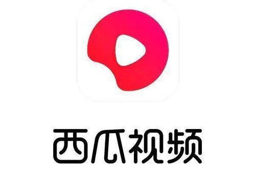 今日头条哪个瓜便宜,哪个瓜最实惠，性价比之王大揭秘！