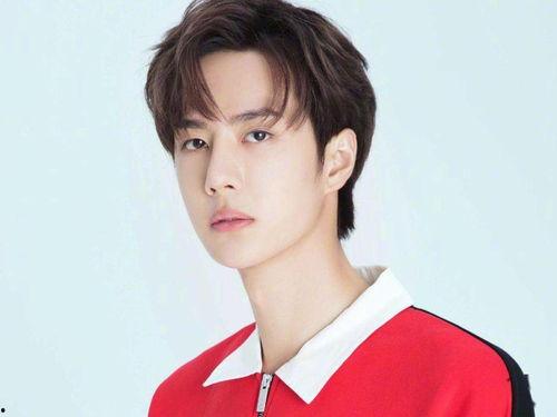 叶姓明星网红有哪些,网络红人中的璀璨星辉