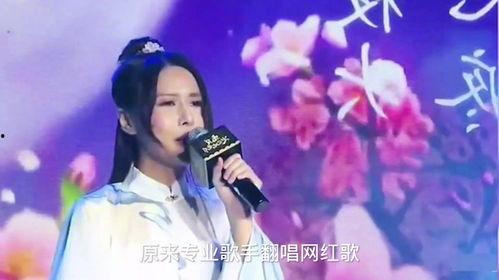 明星网红同唱的歌有哪些,明星网红同台献声的精彩瞬间