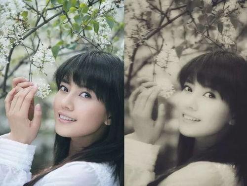 我们有明星网红是谁,揭秘我国当红明星网红的璀璨风采