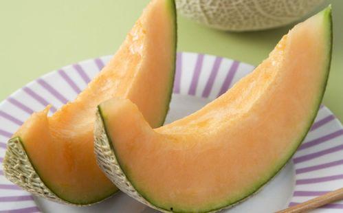 关注嘉兴今日哈密瓜行情,价格波动与市场动态一览