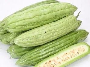 今日广东白瓜最新价格,最新行情一览”