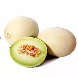 今日广东白瓜最新价格,最新行情一览”