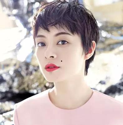 短发微胖明星网红是谁呀,揭秘网络红人背后的明星魅力