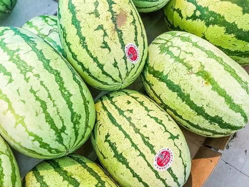 今日宁夏石头瓜价格,市场行情持续升温”