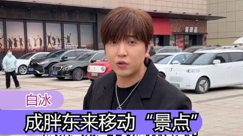 明星网红去胖东来超市,明星同款购物天堂揭秘