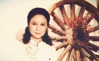 祖籍湖南衡阳的明星网红,湖南籍明星网红闪耀娱乐圈