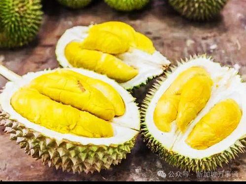 今日头条榴莲爱看新瓜,揭秘今日热点背后的故事