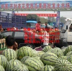 查询今日无籽瓜的价格,今日无籽瓜价格行情概览