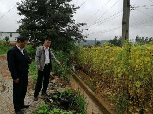 今日七甸土瓜塘新闻,土瓜塘社区发展新动态，聚焦民生改善与乡村振兴