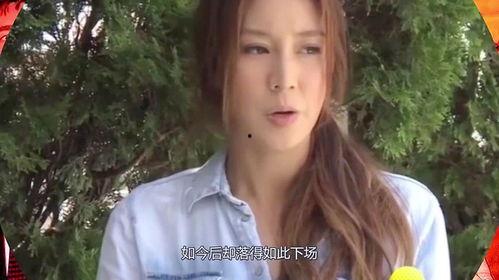 明星网红媳妇都有谁啊,娱乐圈明星网红媳妇大盘点