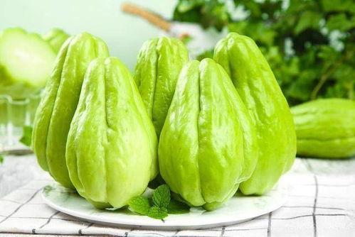 河口佛手瓜今日价格,市场行情一览”