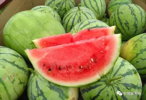 南宁今日吃瓜事件视频,一场引发热议的街头冲突瞬间