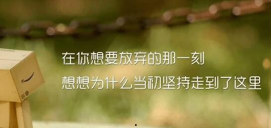 今日摘瓜文案句子简短精辟,一语道破心扉