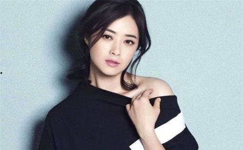 明星网红何婧简介资料