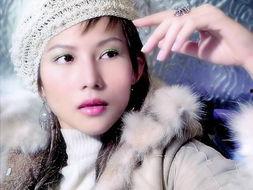 明星网红图集大全集高清,高清视觉盛宴