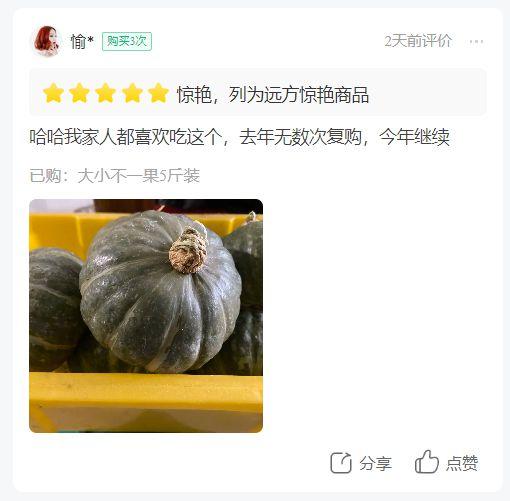 今日板栗瓜价格,涨跌波动一览无遗