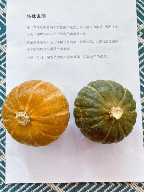 今日板栗瓜价格,涨跌波动一览无遗