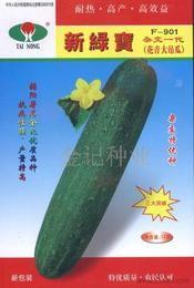 彩虹吊瓜今日行情价格