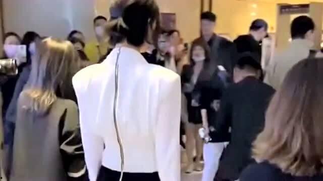 偶遇各种明星网红是谁,偶遇各路明星网红的奇妙邂逅