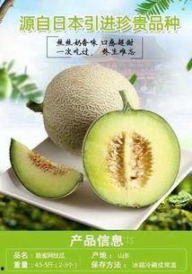 华丽港购哈密瓜价格今日,品质之选，实惠之选”